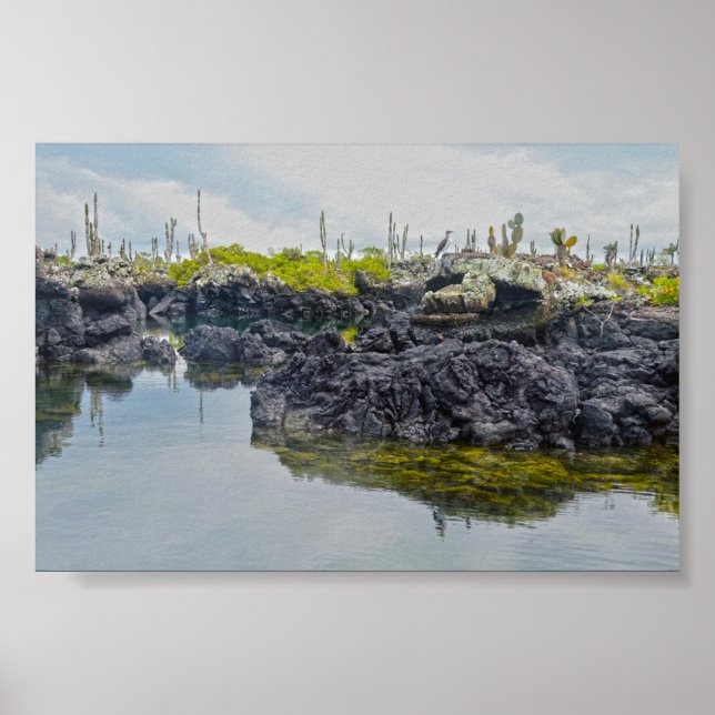 Poster Los Tuneles, Ilhas Galápagos, Equador (Frente)