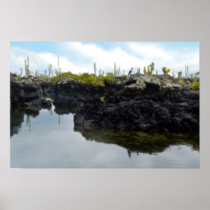 Pôster Los Tuneles nas Ilhas Galapagos