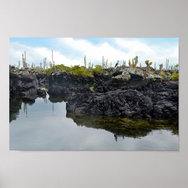 Poster Los Tuneles nas Ilhas Galápagos (Frente)