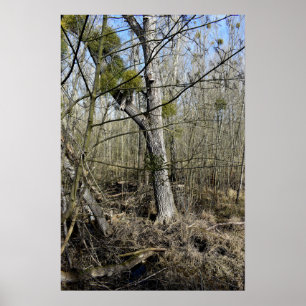 Poster Lost Places , Meadowlands nature