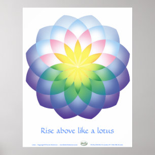 Poster Lotus