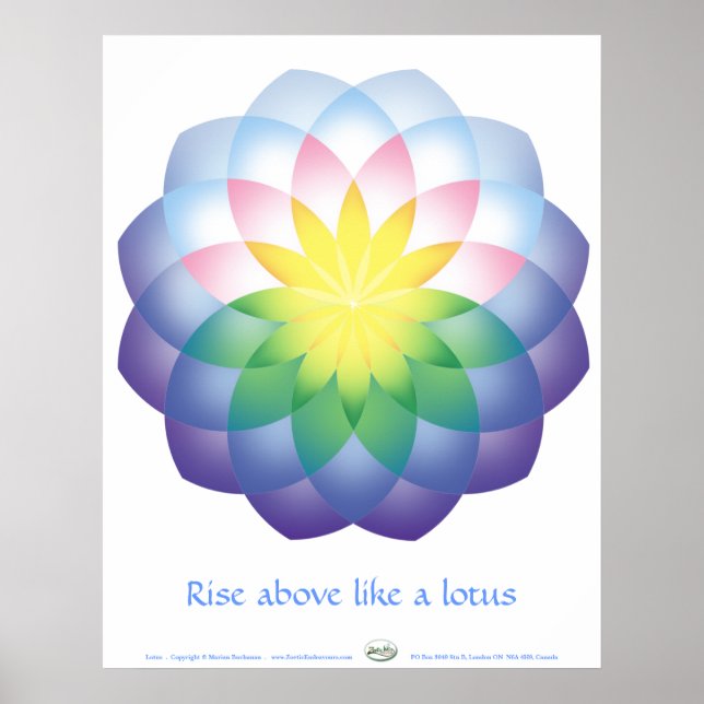 Poster Lotus (Frente)