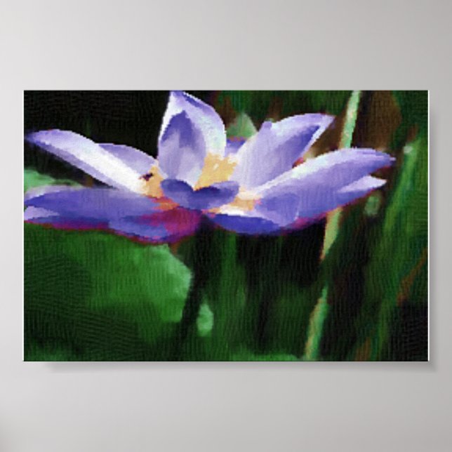 Pôster lótus (Frente)