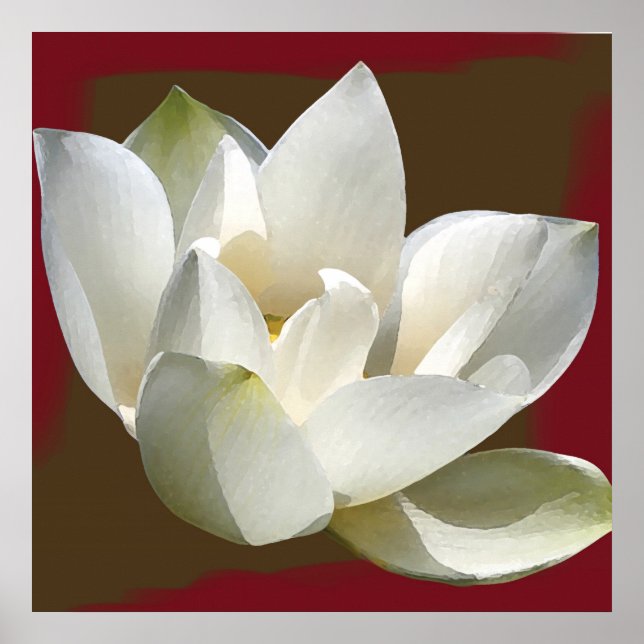 Pôster lotus1 (Frente)