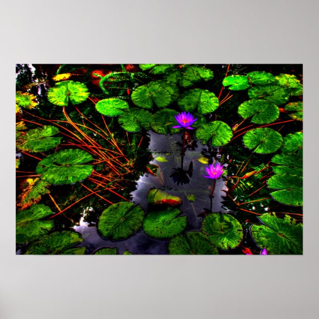 Poster Lotus 1 (Frente)