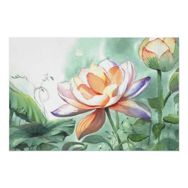 Pôster Lótus Aquarela (Frente)