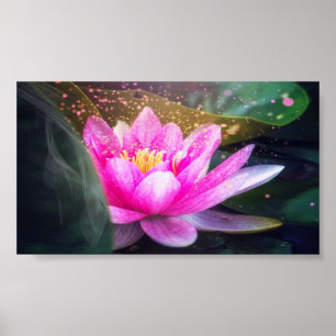 Poster Lotus bonito, paisagem, zen