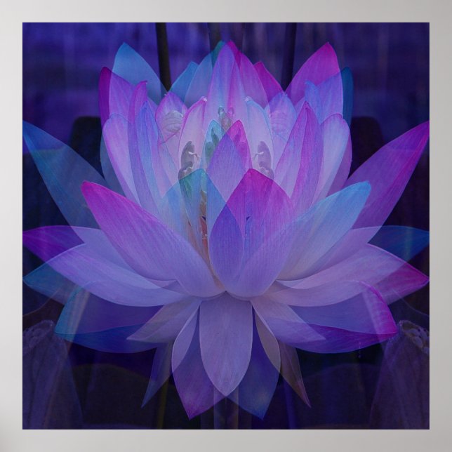 Poster Lotus em azul... (Frente)