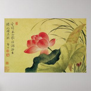 Poster Lotus Flower China Fine Art