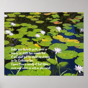 Poster Lotus Lily Pad Nature Foto   Apresentação facultat