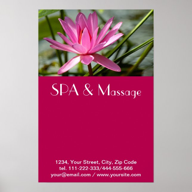 Poster Lótus rosa (Frente)