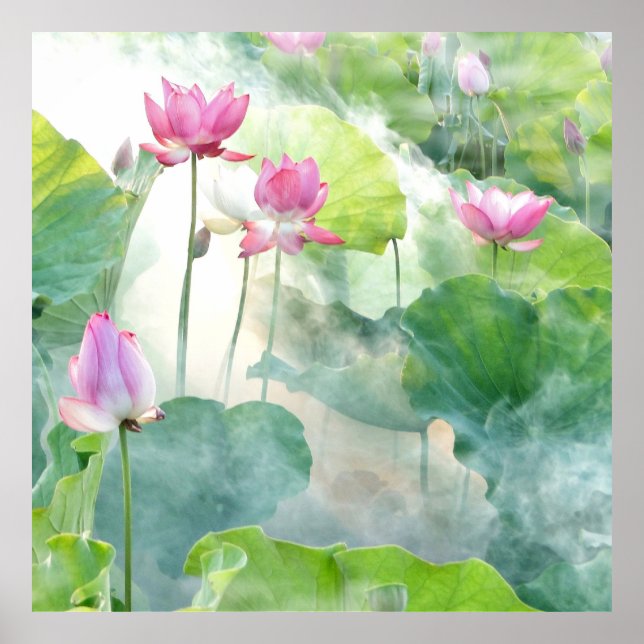 Poster Lotus Summer, perene aquática cor-de-rosa pastel (Frente)