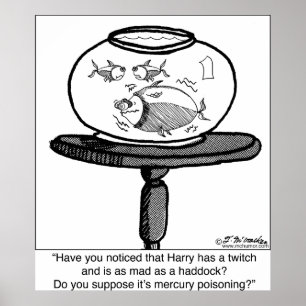 Pôster Louco como arinca