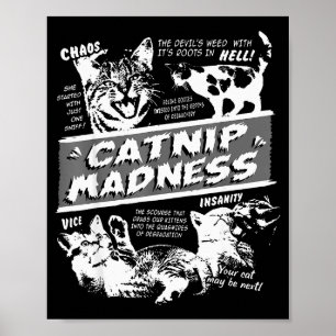 Poster Loucura de Erva de Gato Gatinhos Fofos Gato Engraç