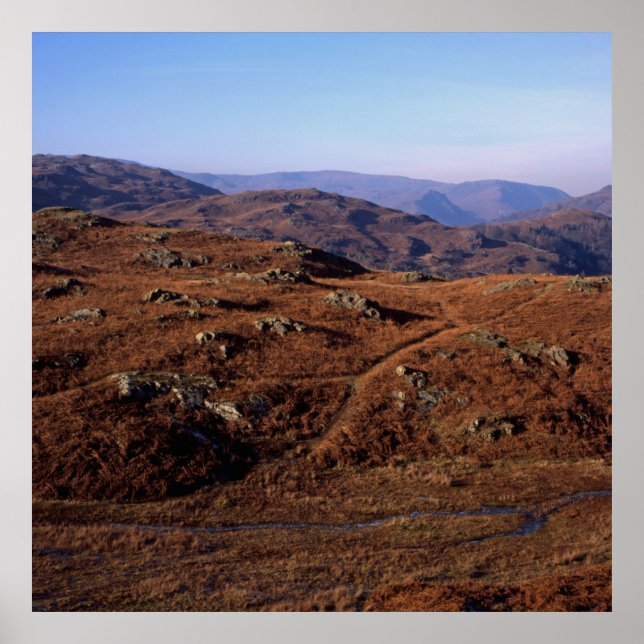 Poster Loughrigg Cell Ambleside Postcard Cushion (Frente)