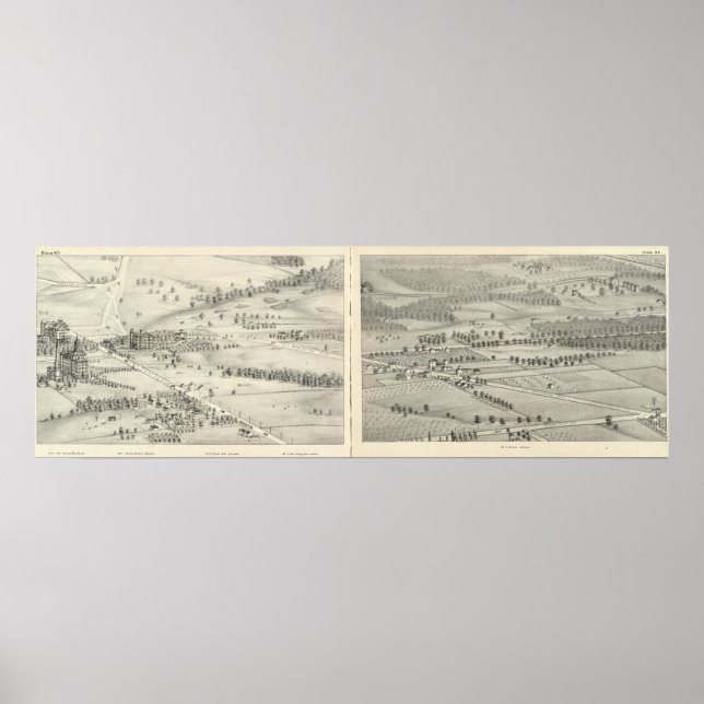 Pôster Louis, Missouri 22 (Frente)