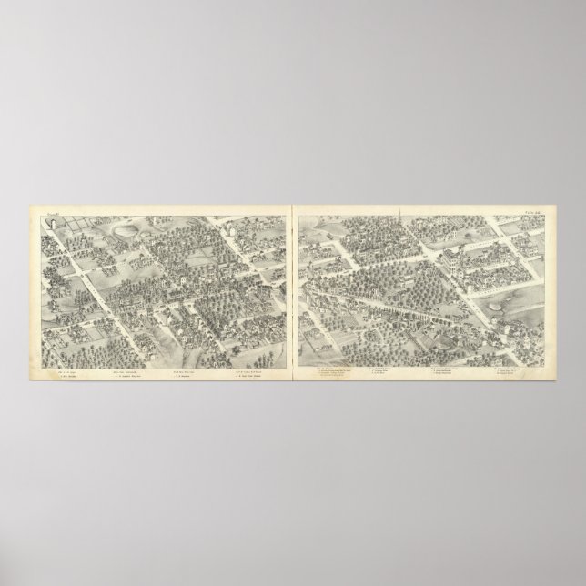 Pôster Louis, Missouri 8 (Frente)