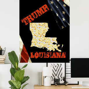 POSTER LOUISIANA 