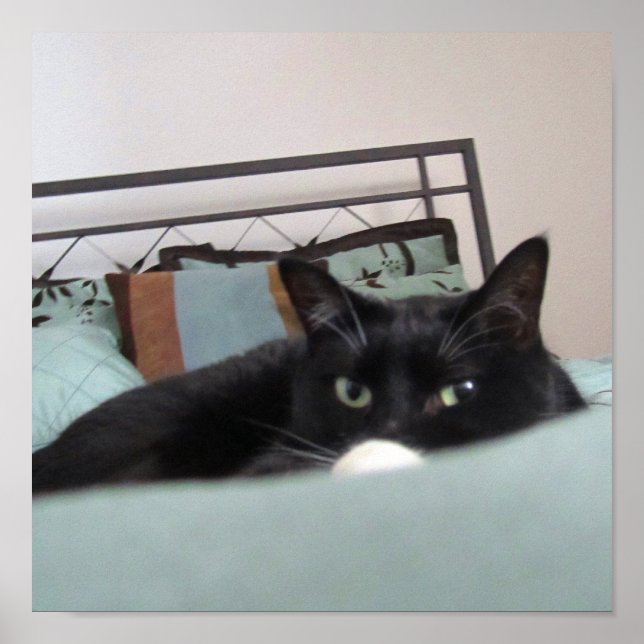 Poster Lounging Lucy (Frente)