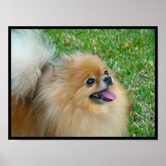 Pôster Loura-branca (Frente)