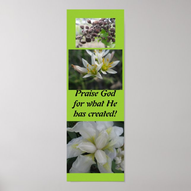 Pôster Louvado Deus pelo que ele criou! (Frente)