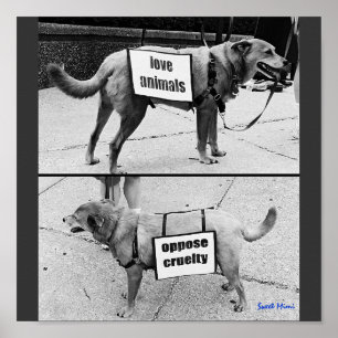 Pôster Love Animals