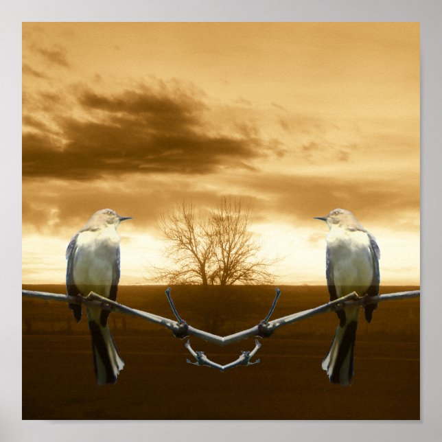 Poster Love Birds_Poster (Frente)