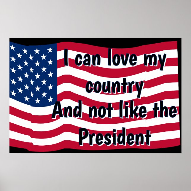 Poster Love Country Not Presideent (Frente)