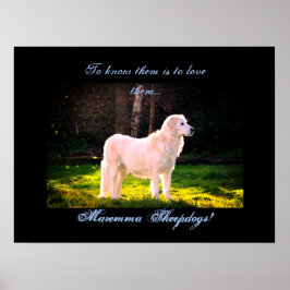 Poster Love Maremma sheepdog II