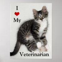 Love My Veterinarian Zorro Gatinho