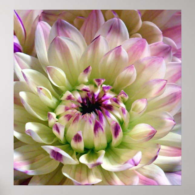 Poster Love Spreading_Poster (Frente)