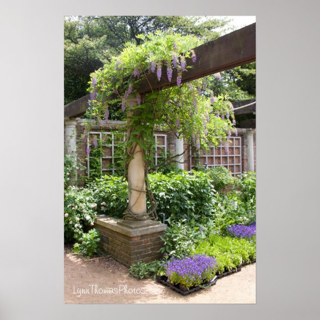 Poster Lovely Canvas from a Picture (Frente)