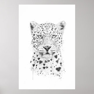 Poster Lovely leopard