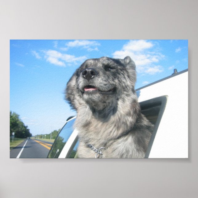 Pôster Lovin' Life (Frente)