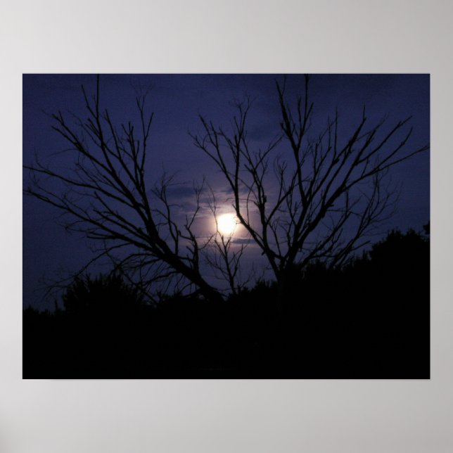 Pôster Lua Brilhada (Frente)