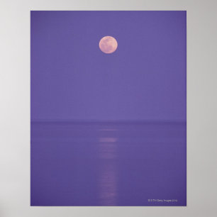Pôster Lua cheia cor-de-rosa