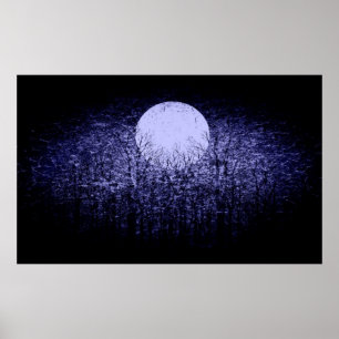 Poster Lua cheia nº 9