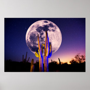 Poster Lua Cheia Sobre Saguaro Cactus