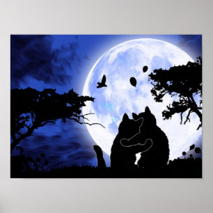 Poster lua cheio de gatos