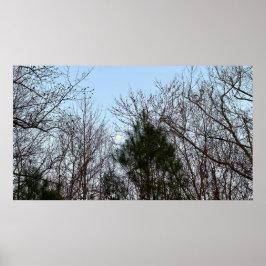 Poster Lua da madrugada,