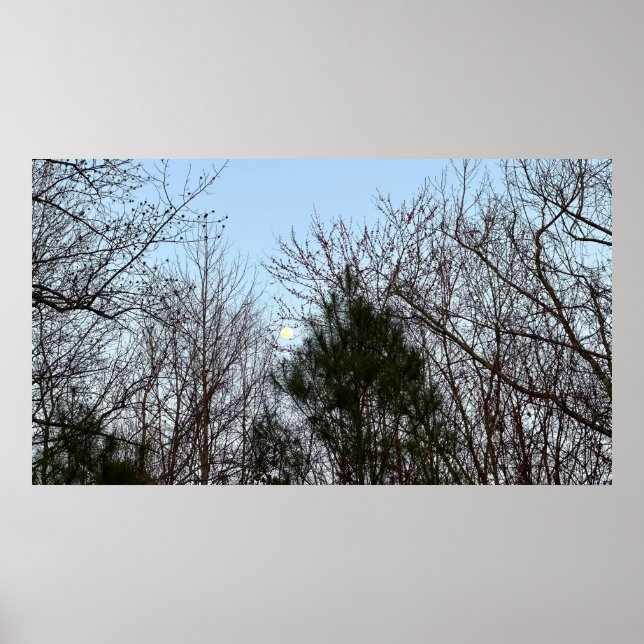 Poster Lua da madrugada, (Frente)