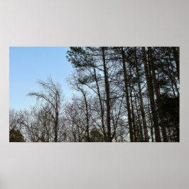 Poster Lua da madrugada,