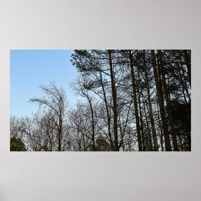 Poster Lua da madrugada, (Frente)