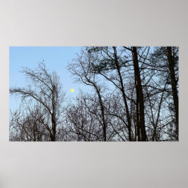 Poster Lua da madrugada,