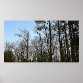 Poster Lua da madrugada,