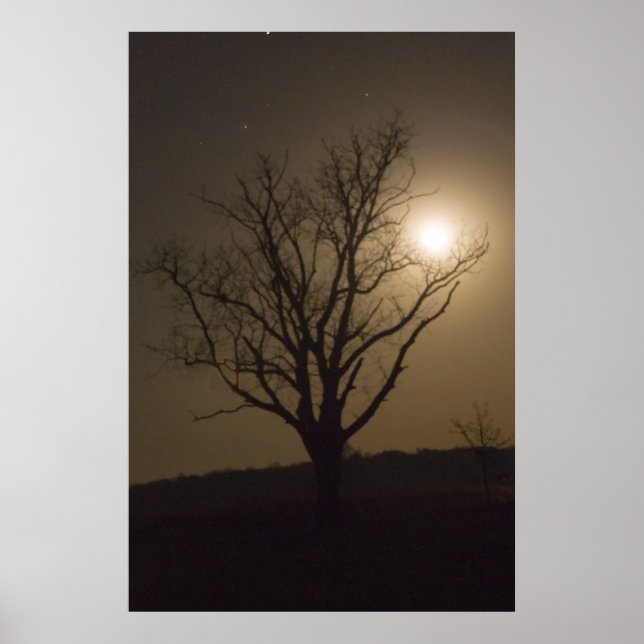 Pôster Lua de novembro (Frente)