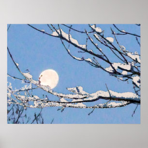 Pôster Lua do inverno