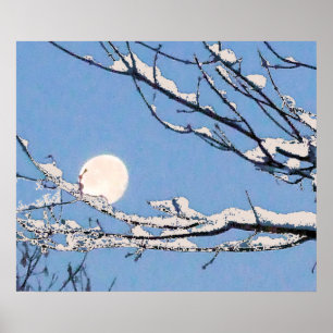 Pôster Lua do inverno