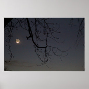 Pôster Lua e Mercúrio