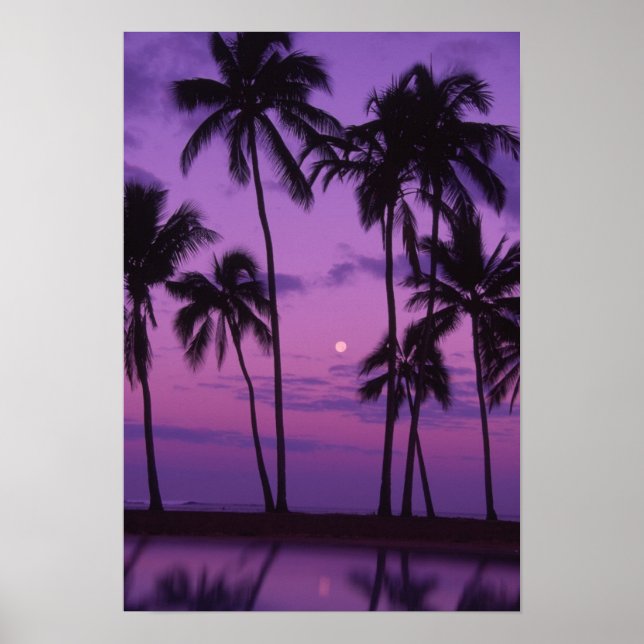Pôster Lua e Palm Tree (Frente)